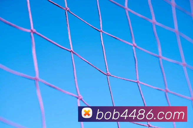 bob半岛体育官网下载品牌故事
